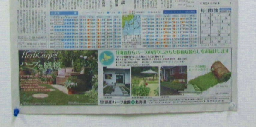 毎日新聞広告②